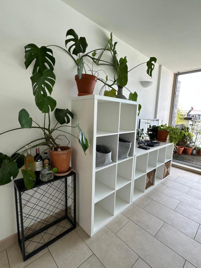 Bright And Airy Islington Apartment 伦敦 外观 照片